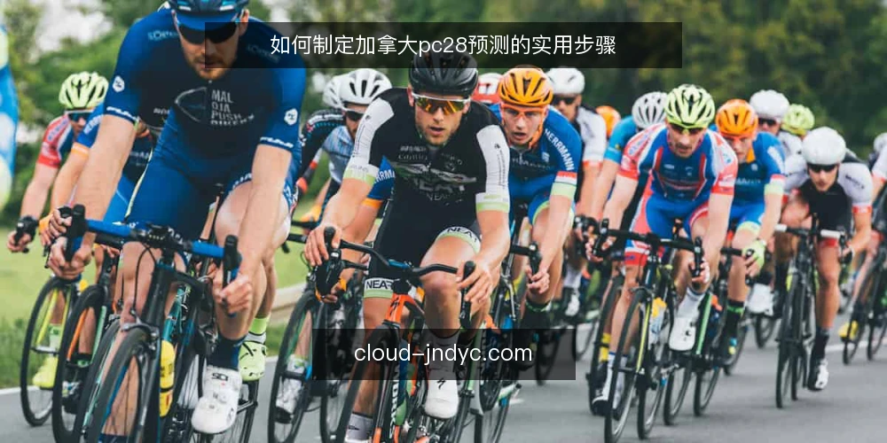 如何制定加拿大pc28预测的实用步骤 — 准备：明确预测目标与数据基础 配图