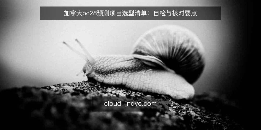 加拿大pc28预测项目选型清单：自检与核对要点 — 明确需求边界：先定义预测场景与目标 配图