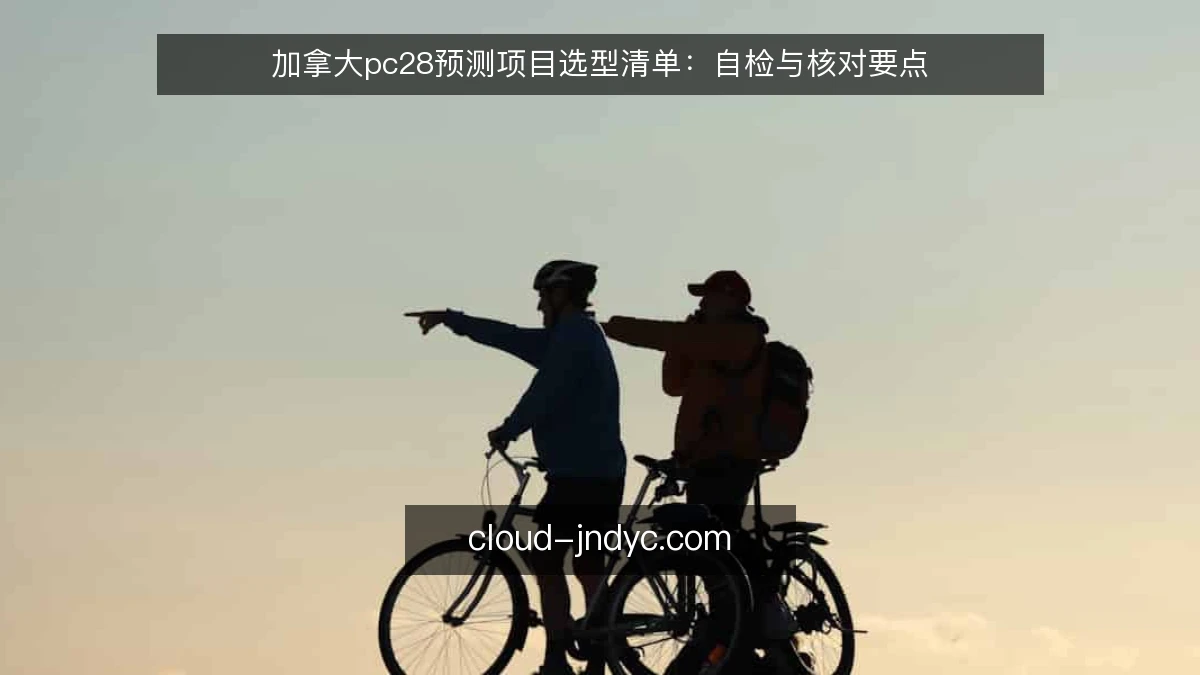 加拿大pc28预测项目选型清单：自检与核对要点