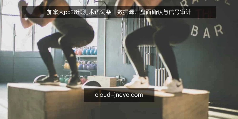 加拿大pc28预测术语词条：数据源、盘面确认与信号审计 — 为什么现在需要术语审计 配图