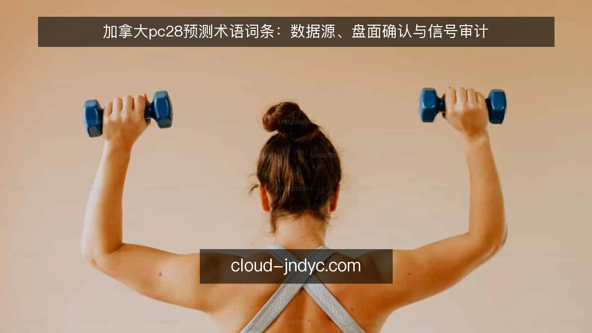 加拿大pc28预测术语词条：数据源、盘面确认与信号审计