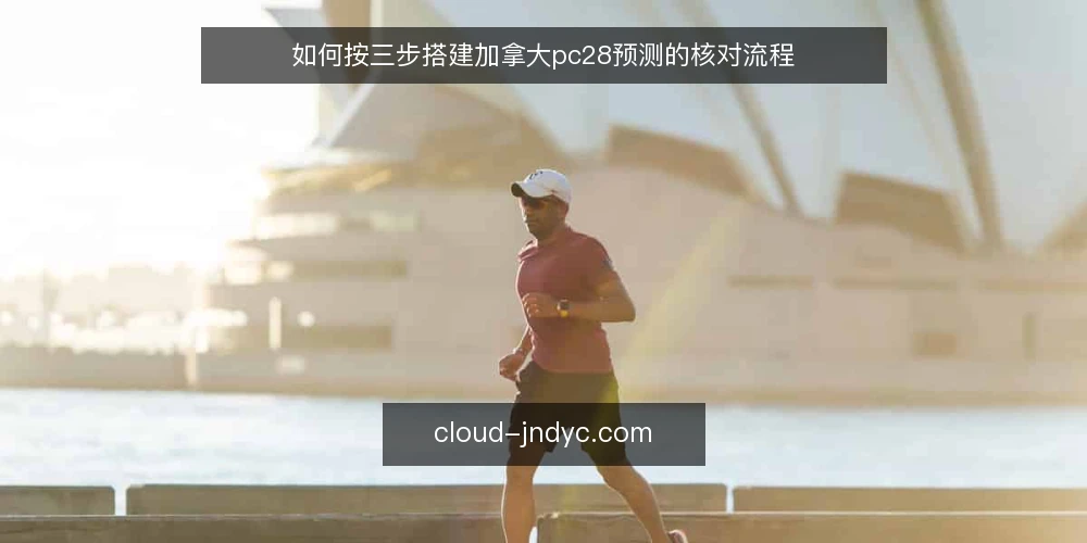 如何按三步搭建加拿大pc28预测的核对流程 — 第一步：准备输入与边界条件 配图